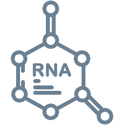 MicroRNA Agomir/ Antagomir 相关产品