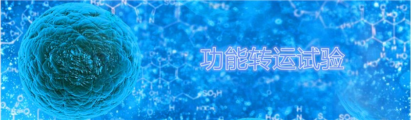 功能转运试验。