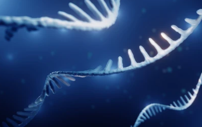 双重测定新方法，调整mRNA递送