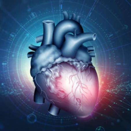 【科学前沿】可收缩心脏模型，微工程体外平台