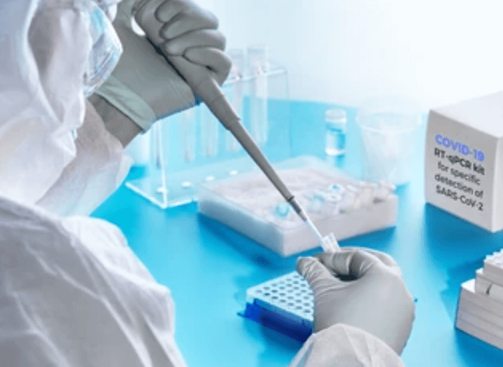 金标准PCR 检测危