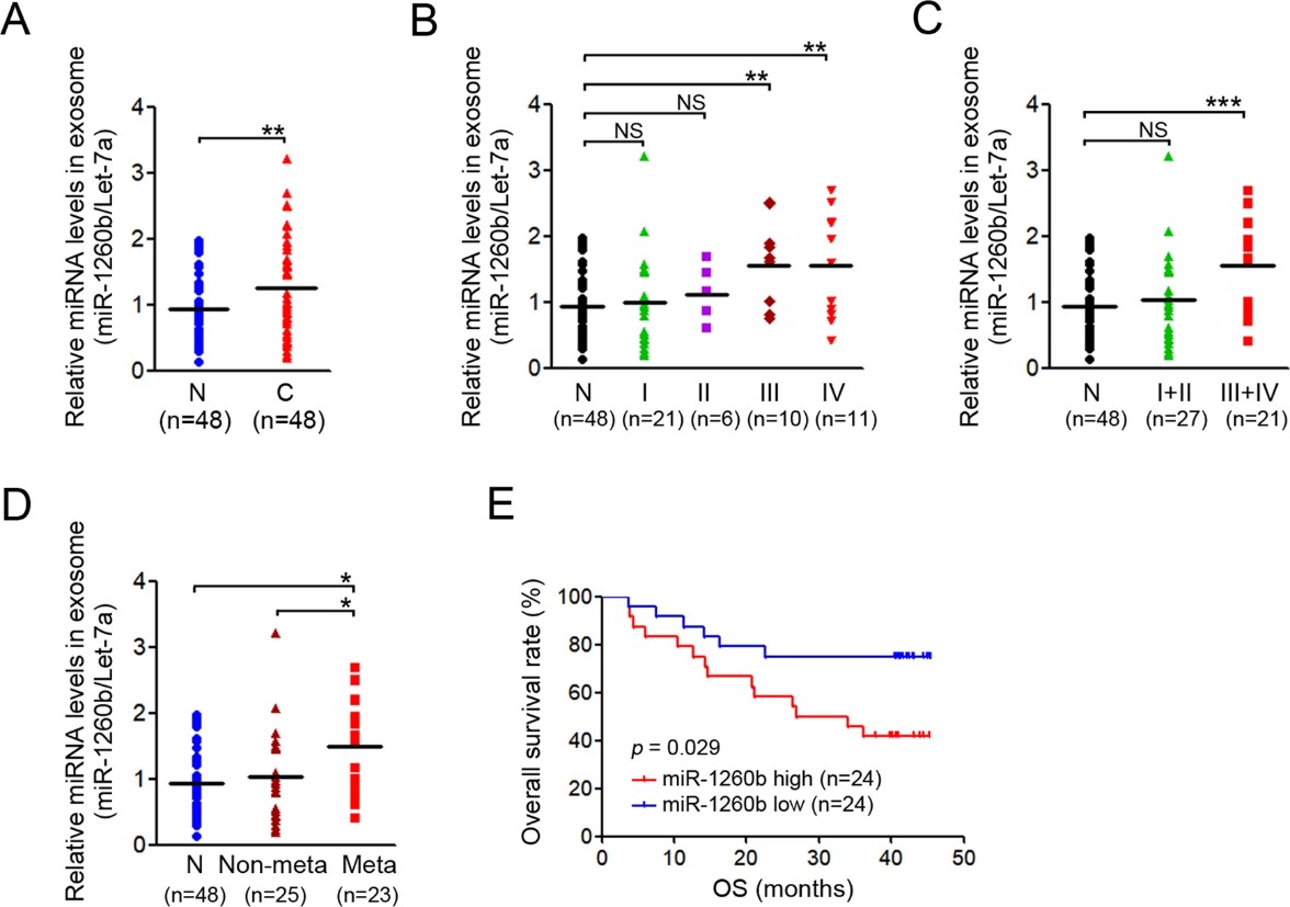 NSCLC 中外泌体 miR-1260b 的病理特征。