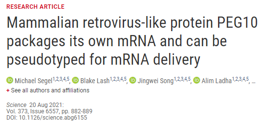 全新递送系统打破 RNA 治疗困境