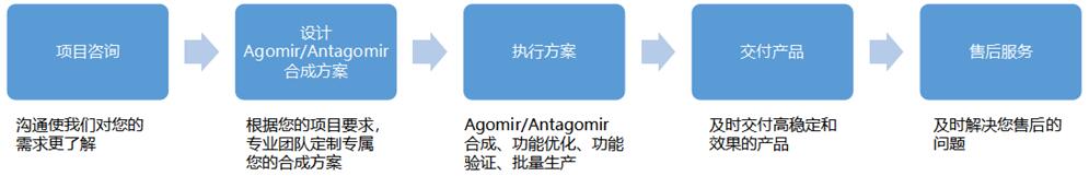 MicroRNA Agomir/Antagomir应用开发服务